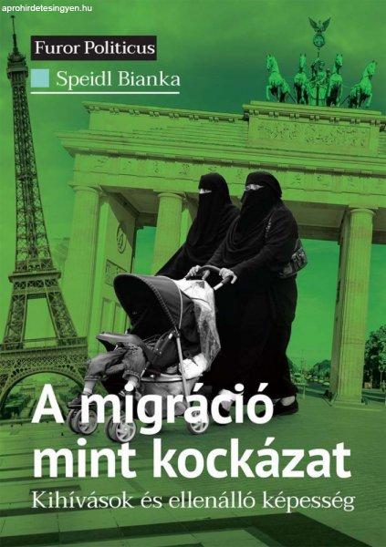 Speidl Bianka - A migráció mint kockázat