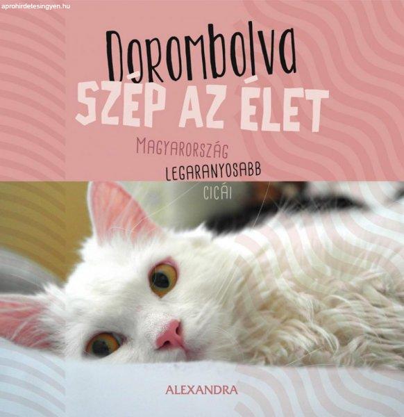 Dorombolva szép az élet - Magyarország legaranyosabb cicái