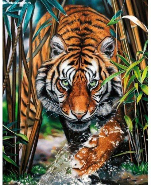 Gyémántfestés szett, tigris a dzsungelben, 38x48cm