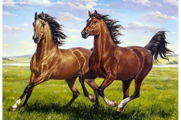 Gyémántfestés szett, barna lovak, 70x48cm