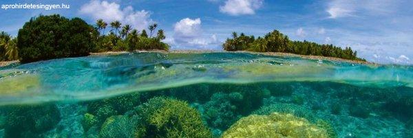 Trópusi korallszigetek, konyhai matrica hátfal, 180 cm