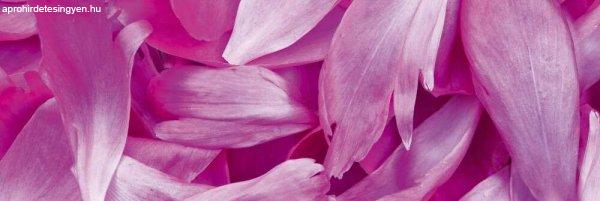 Rózsaszín virágszirmok, konyhai matrica hátfal, 180 cm