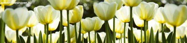 Fehér tulipánok, konyhai matrica hátfal, 260 cm