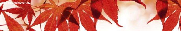 Piros levelek, konyhai matrica hátfal, 350 cm