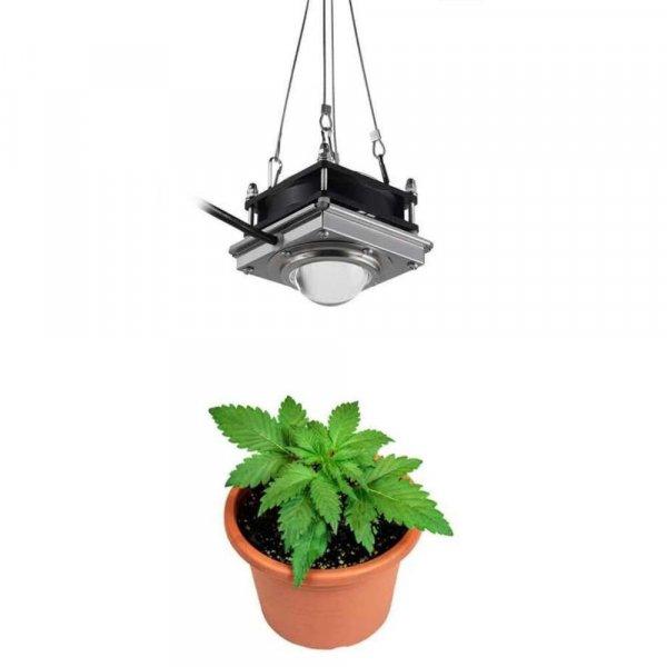 Beltéri növénynövény lámpa természetes fénnyel és csendes
hűtőrendszerrel, 60 W