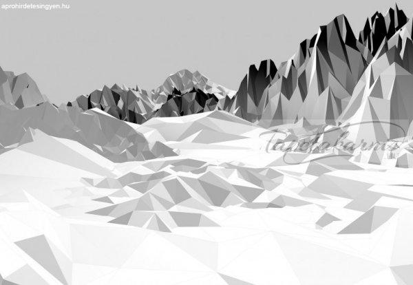 Poszter Icefields 8-208.