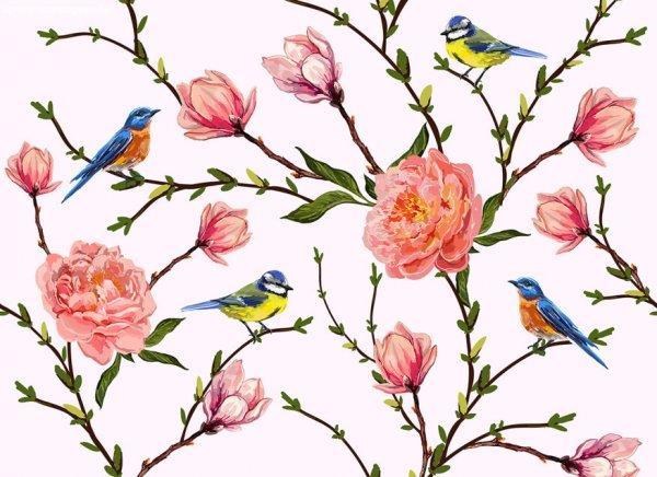 Little Birds poszter DD118538