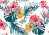 Tropical Art 1 poszter DD118568