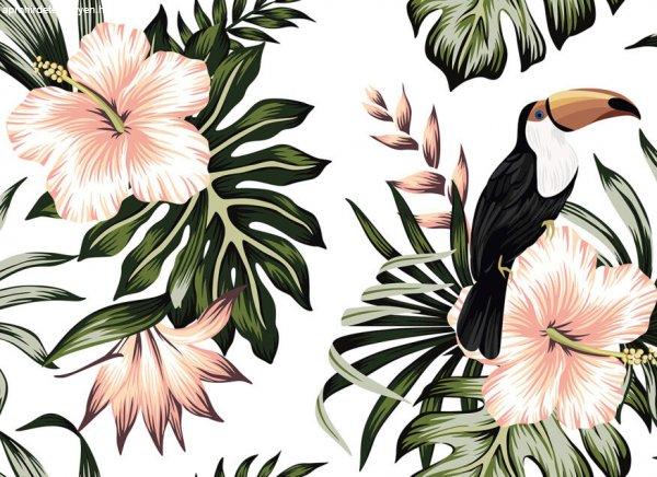 Toucan 1 poszter DD118576