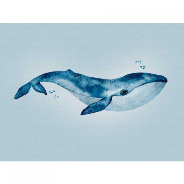 Kék bálna digitális poszter 38300-1