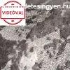 Szrke-ezst elegnsan csillog beton mints tapta 10273-10