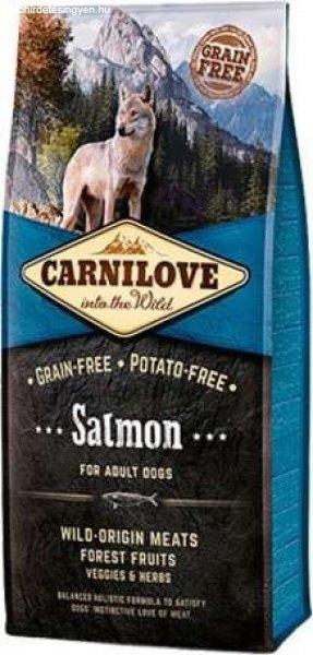 CarniLove Adult Salmon (2 x 12 kg) 24 kg