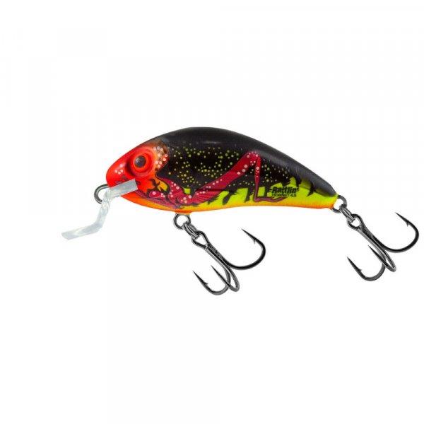 Salmo Rattlin Hornet Shallow - 4,5cm 5,5g wobbler (84415-6C5) FBG