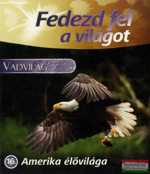 Vadvilág - Amerika élővilága