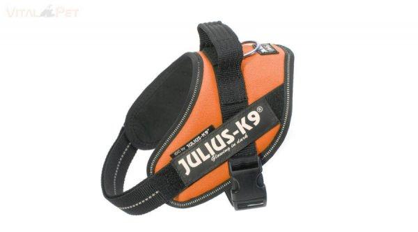 JULIUS-K9 IDC Powerhám "Narancs" (Méret: Mini)