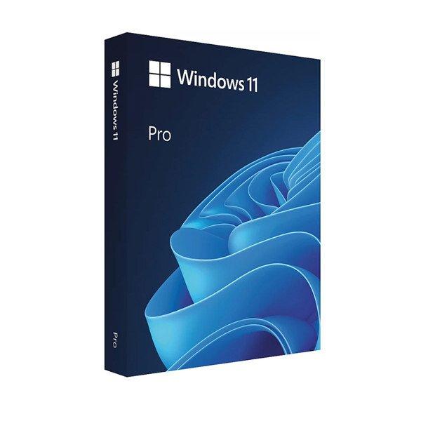 Windows 11 Pro 64Bit Magyar 1pk DSP OEI DVD (FQC-10537)