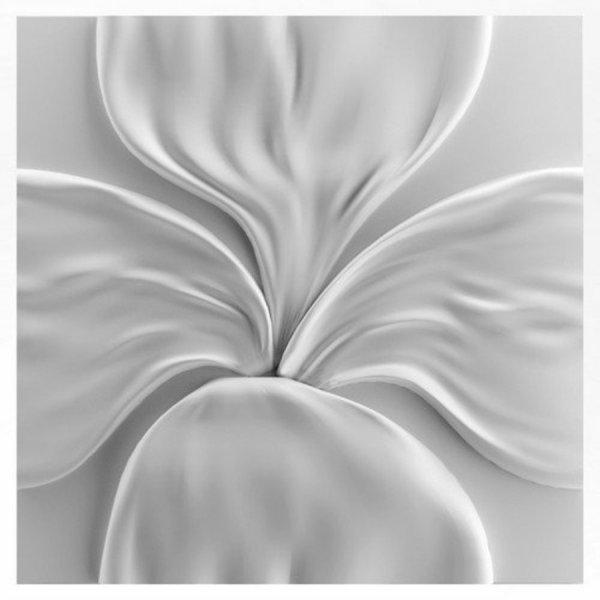 TULIPPO virág festhető fehér gipsz falpanel, természet, virágos minta