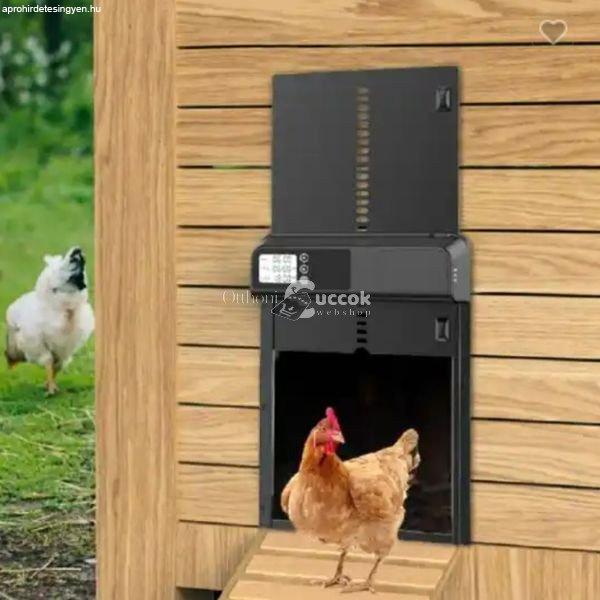 Automata csirkeól ajtó időzítővel