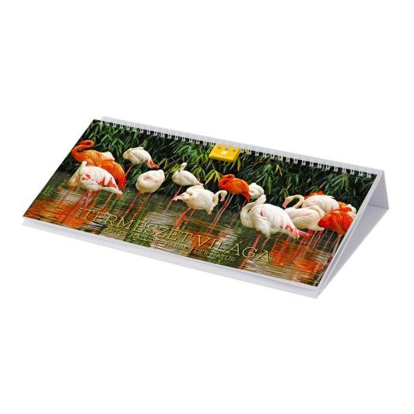 Asztali naptár fehér lapokkal 320 × 150 mm Természet világa fekvő karton
hátlappal Dayliner 2024.