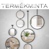 Tkrtapta termkminta 215-0013