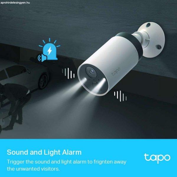 TP-Link TAPO C420S1 Wireless Kamera Cloud beltéri/kültéri éjjellátó, TAPO
C400S1