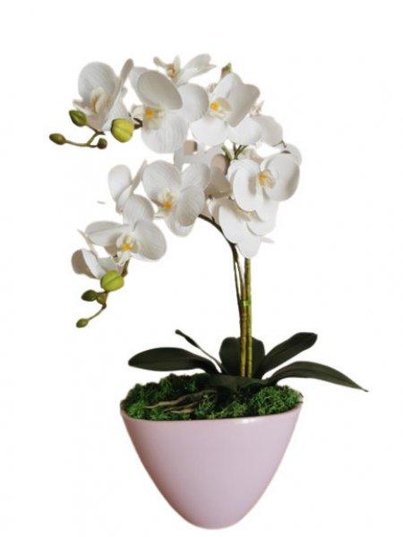 Kerámia kaspós orchidea