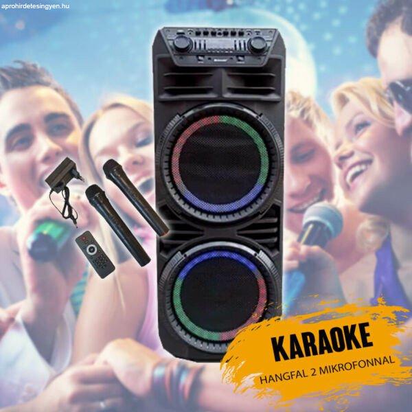 Meirende 12 inch karaoke hangfal 2 mikrofonnal MR1209