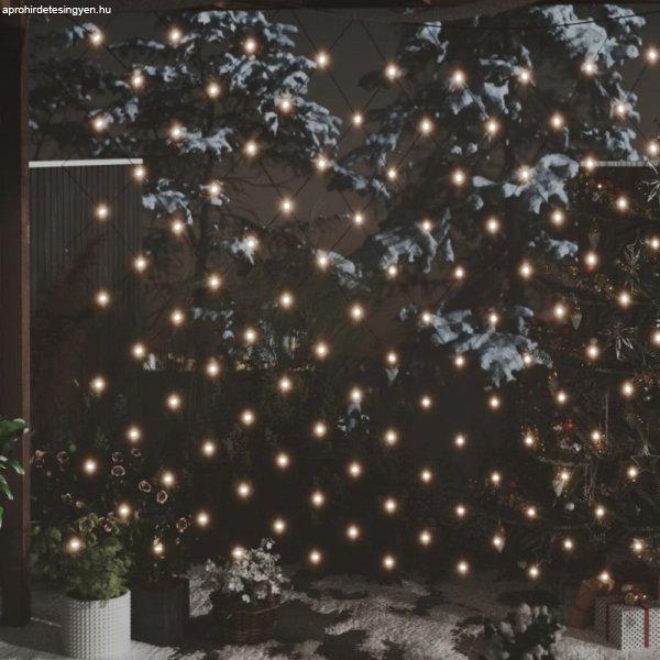 Kültéri hálós meleg fehér karácsonyi világítás 204 LED 3 x 2 m