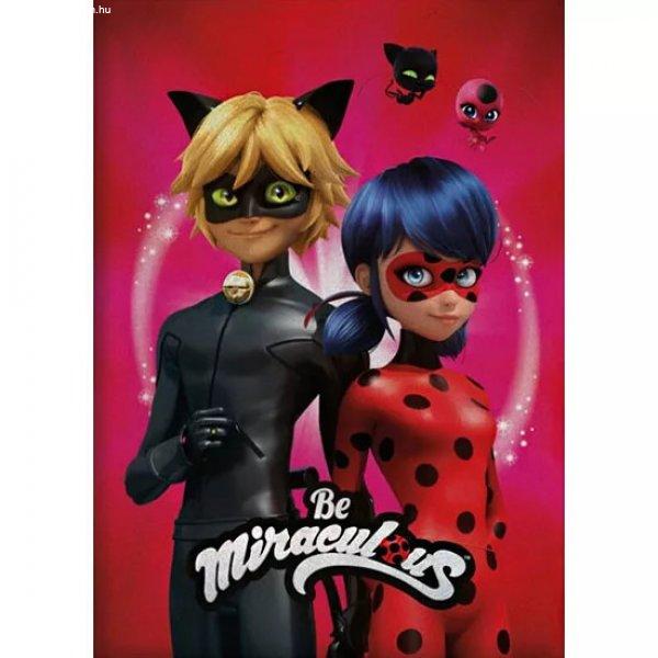 Miraculous - Katicabogár és Fekete Macska polár takaró - Be Miracolous