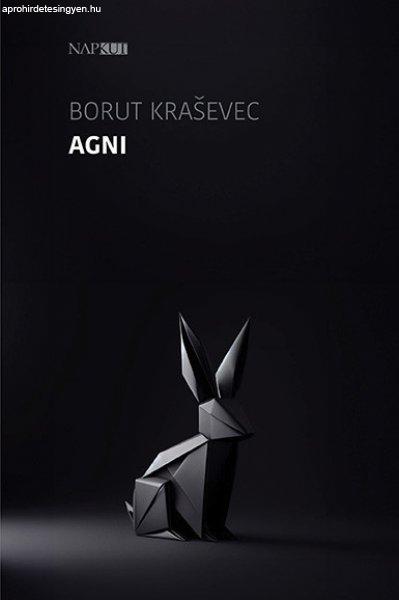 Borut Kraevec - Agni