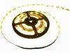 Perfectled Prmium 60 LED/mteres 12 V-os beltri srga LED 