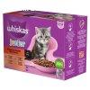 Whiskas Alutasakos Junior Krmes Klasszikus Vlogats 12x85g