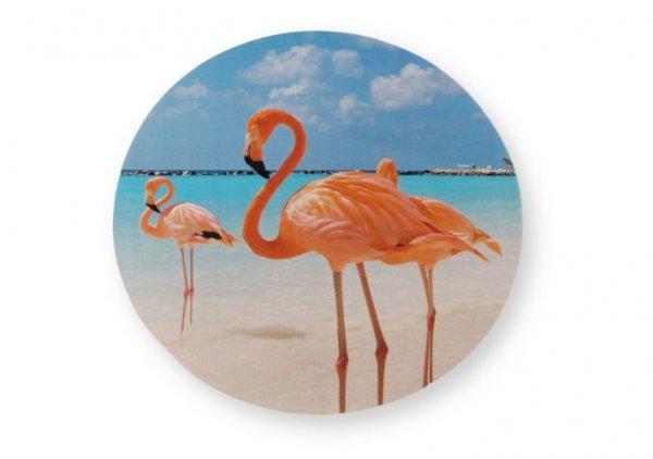 Flamingók a tengerparton tortaostya