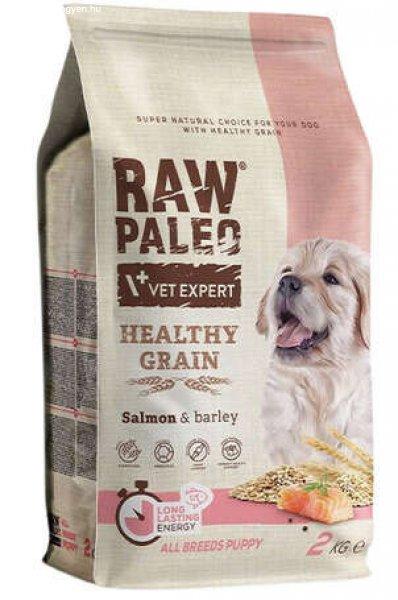 Raw Paleo Healthy Grain Puppy Salmon (2 x 10 kg) 20 kg