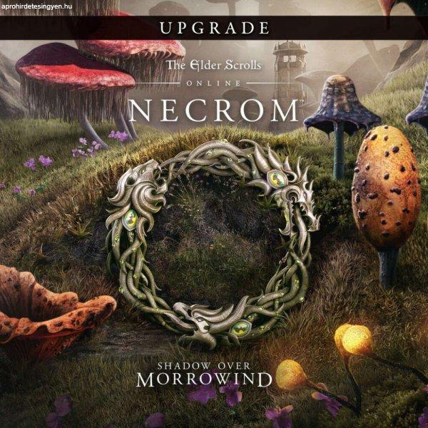 The Elder Scrolls Online: Necrom Upgrade (DLC) (Digitális kulcs - PC)