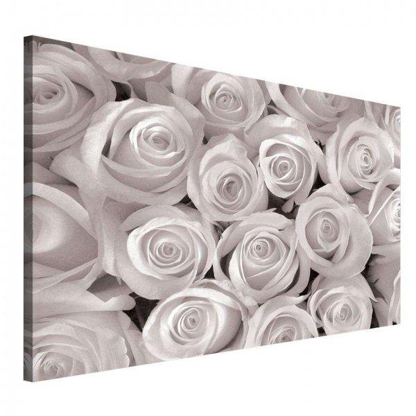 Vászonkép Egy csokor fehér rózsa