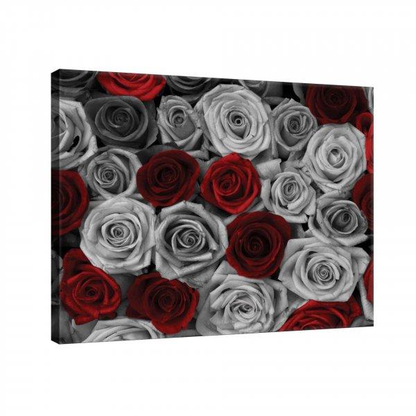 Vászonkép rózsák piros - szürke