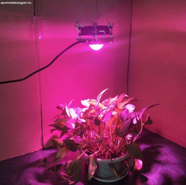 Lámpa a teljes spektrumú és csendes hűtőrendszerrel rendelkező beltéri
növények növeke déséhez