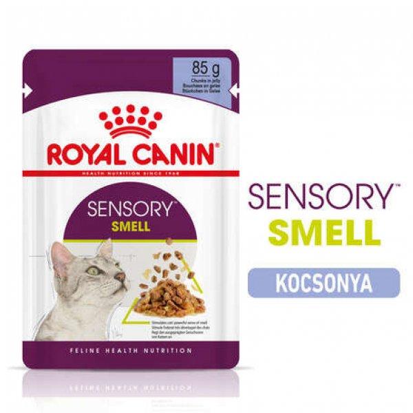 Royal Canin Ssensory Smell Jelly - Zselés felnőtt macska nedves táp fokozott
illattal (48 x 85 g) 4.08 kg