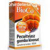 BioCo Pecstviasz gomba kivonat kapszula (60 db)