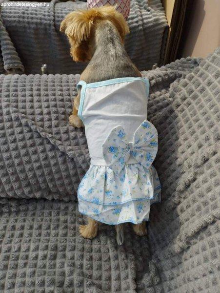 Kutyaruha - Spagettipántos könnyed ruha fehér/kék virágos színben,
masnival