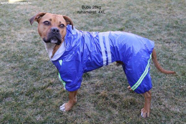 Kutyaruha - Kutyaesőkabát - Kutya esőkabát fényvisszaverő csíkkal (nagy
kutyáknak is) - Kék színben 