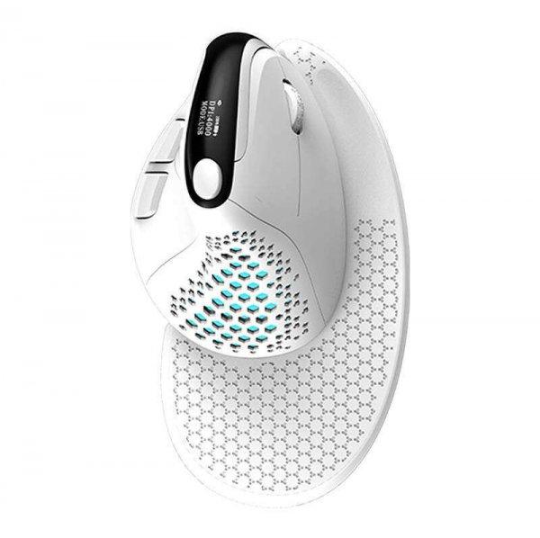 Wireless Ergonomic Mouse Delux M618XSD BT+2.4G RGB (white)