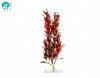 Jk Aquarium Dekoart Red Ludwigia mnvny 18-21cm (18321)