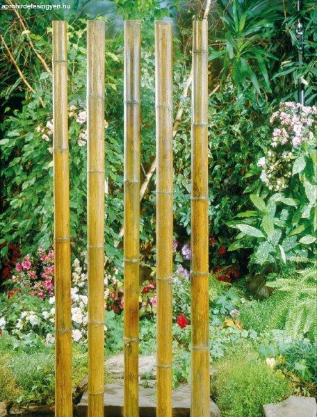 Bambusz növénytámasz natúr 30cm átm.3-3,5mm