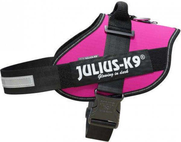 Julius-K9 IDC sötétrózsazsín powerhám kutyáknak (40-70 kg | 82-115 cm)