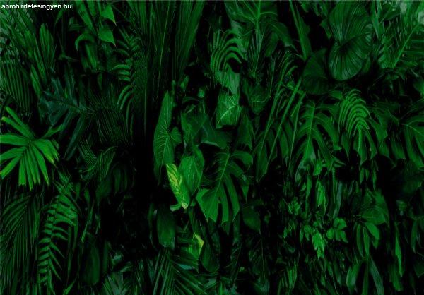 SONER mágneses radiátor takaró zöld növény mintával 60x90 cm