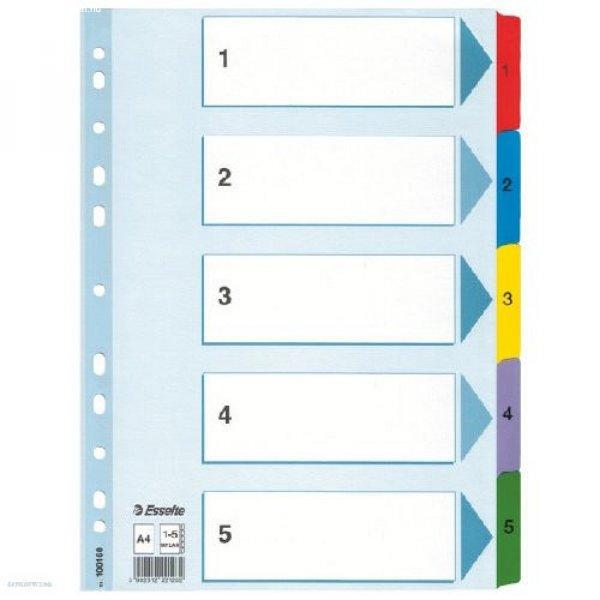 Regiszter ESSELTE A4 1-5 karton MYLAR 