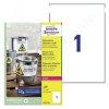 L4775-100 Avery idjrsll fehr poliszter cmke 210x297m