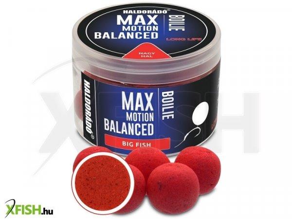 Haldorádó Max Motion Boilie Balanced 20 Mm - Nagy Hal